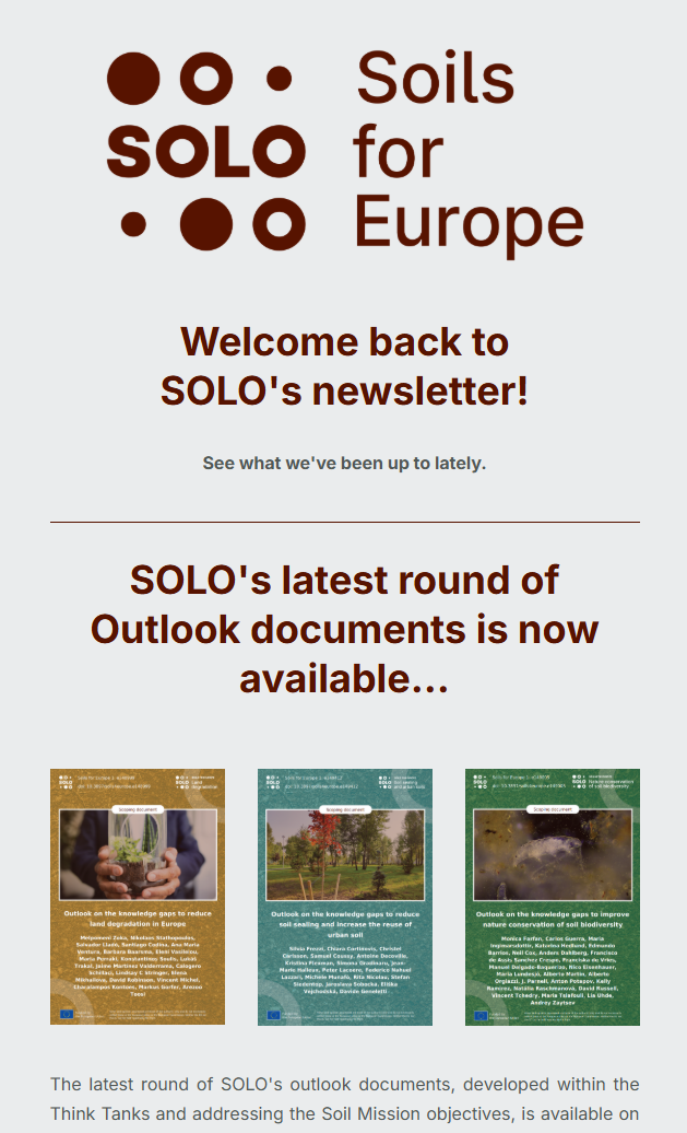 SOLO Newsletter #3 cover