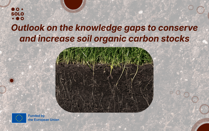 Outlook on the knowledge gaps to conserve and increase soil organic carbon stocks