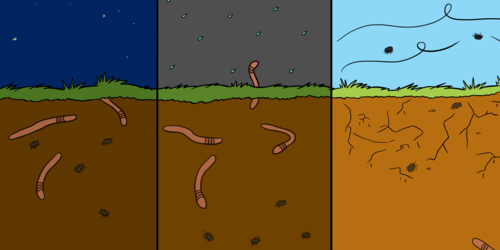 Multilingual article collection on soil biodiversity now available