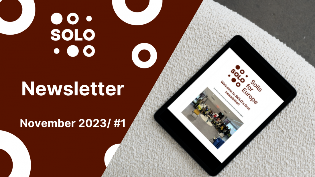 SOLO's first newsletter is out now