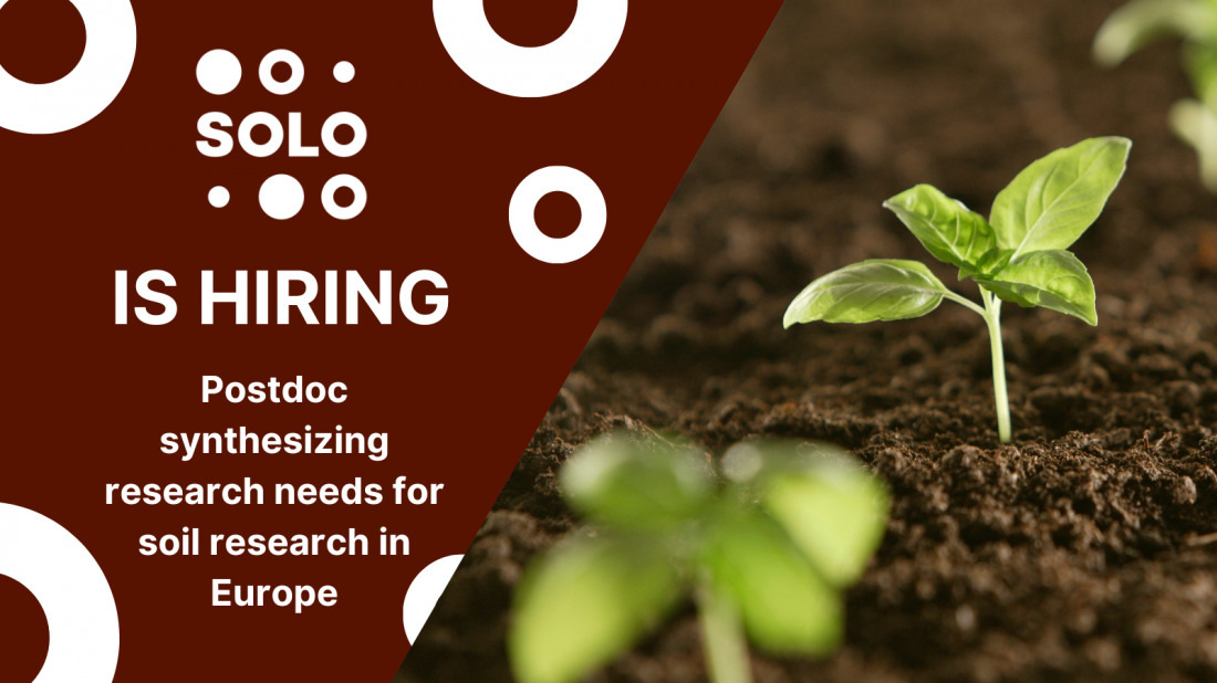 Join SOLO: Open position at NIOO-KNAW