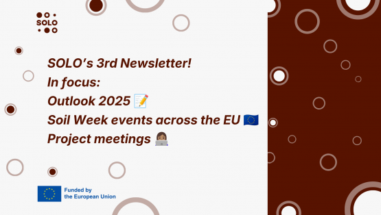 SOLO's third newsletter has arrived!