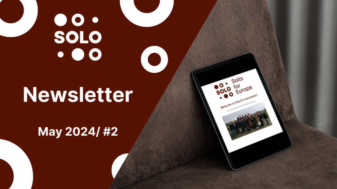 SOLO's second newsletter is now available!