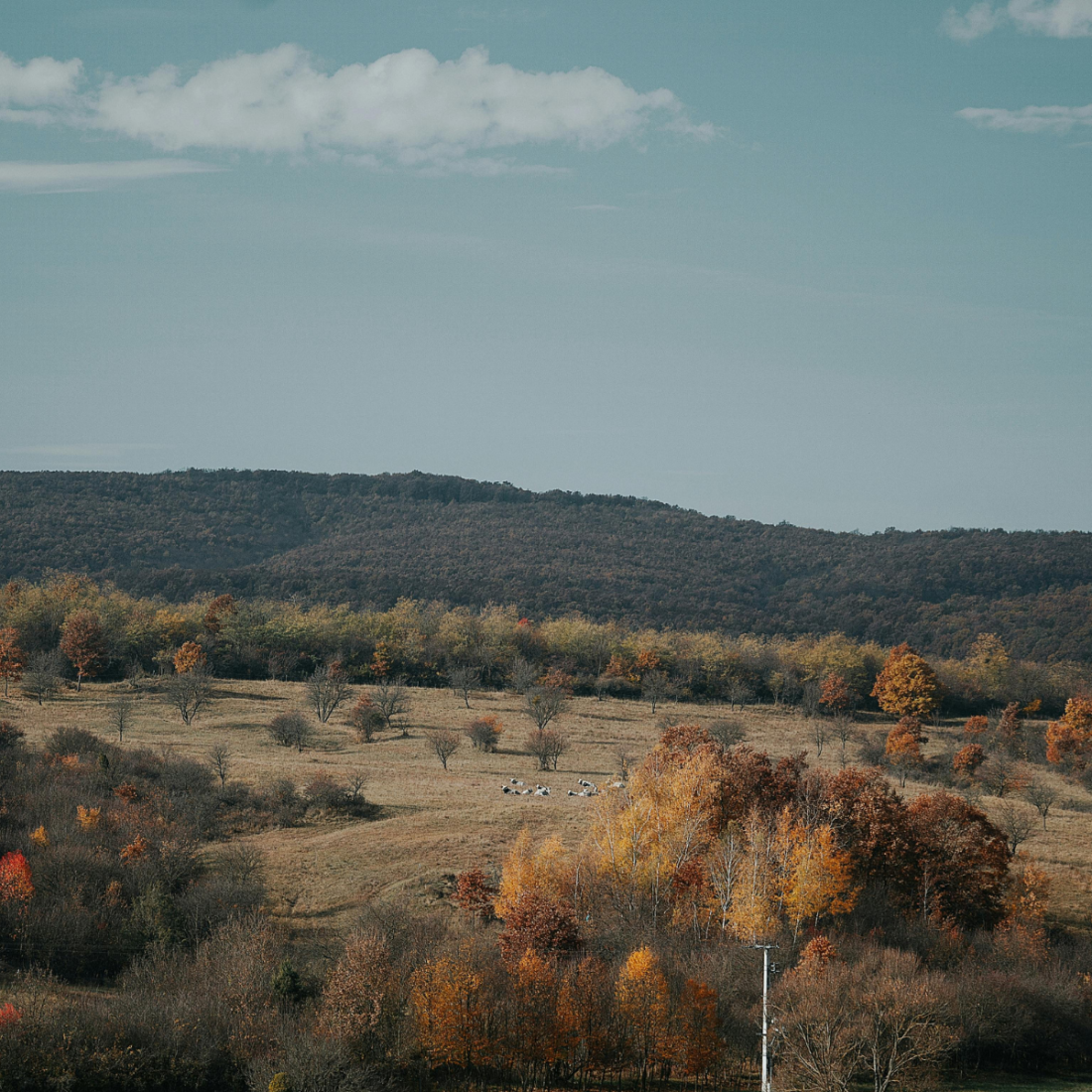 SOLO holds its first Regional Nodes workshop in Hungary