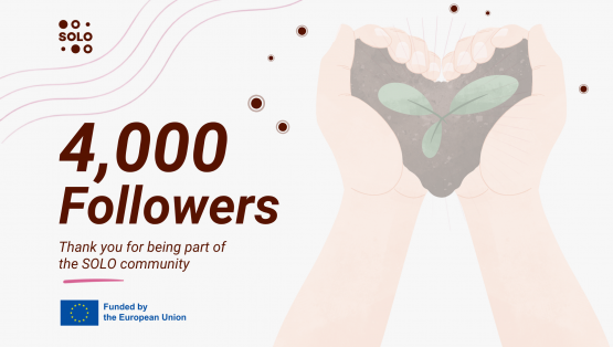 Thank you for 4,000 followers!