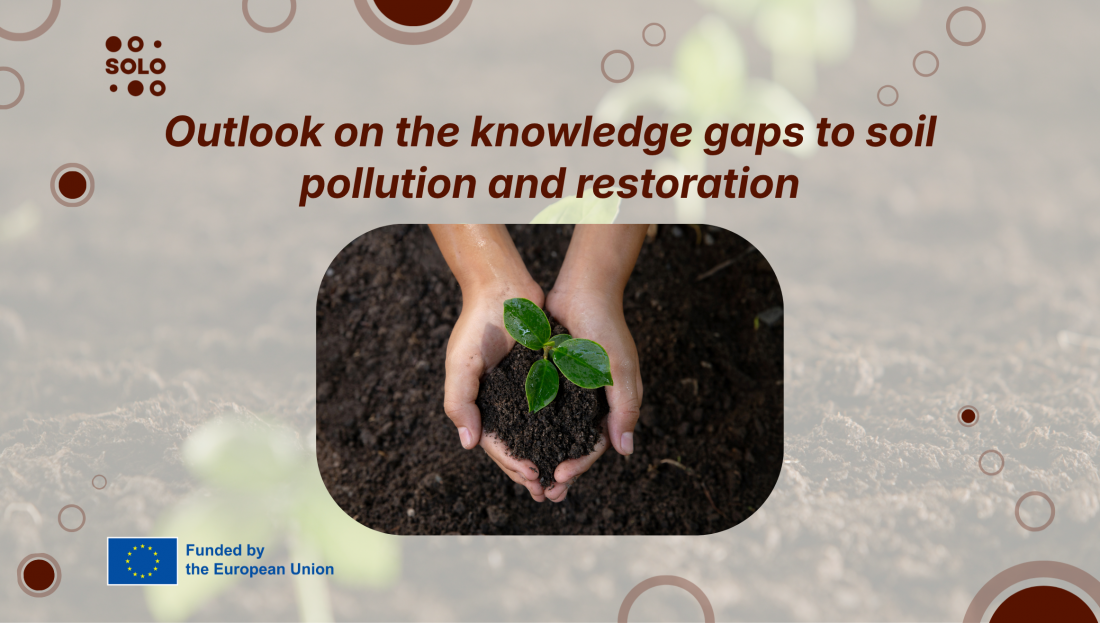 Outlook on the knowledge gaps to soil pollution and restoration