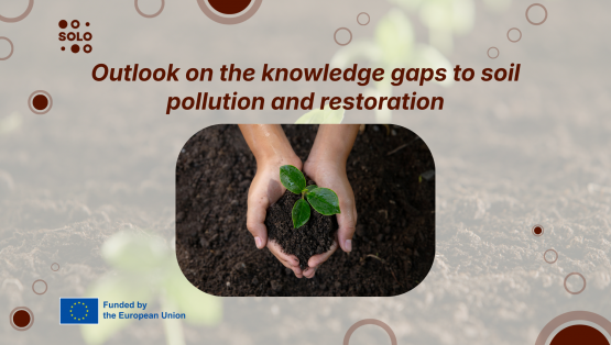 Outlook on the knowledge gaps to soil pollution and restoration