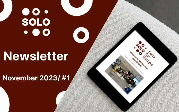 SOLO's first newsletter is out now