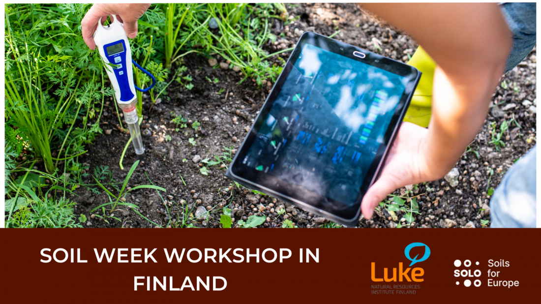 Soil Week 2024: Workshop in Helsinki discusses soil health, ecosystem restoration and forest soil health