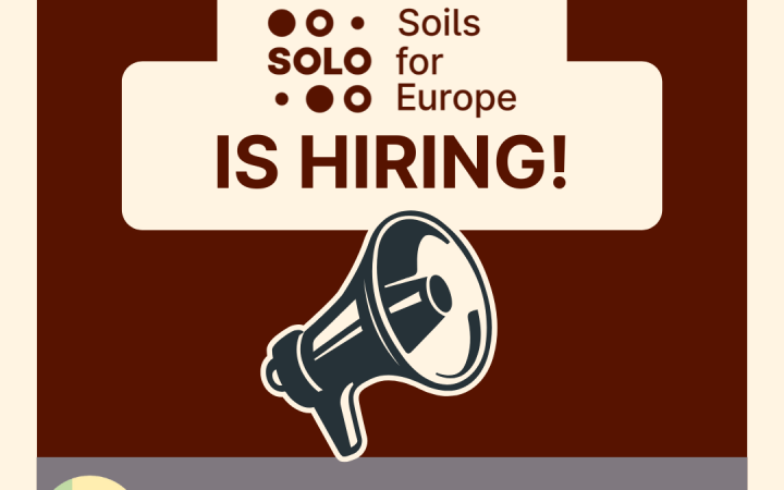 Join SOLO: Open Position at iDiv, Germany