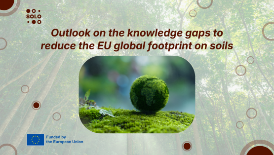 Outlook on the knowledge gaps to reduce the EU global footprint on soils