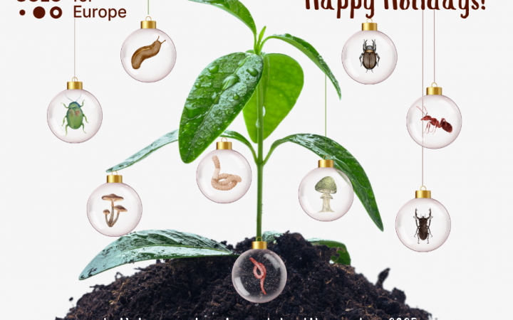Happy Holidays!