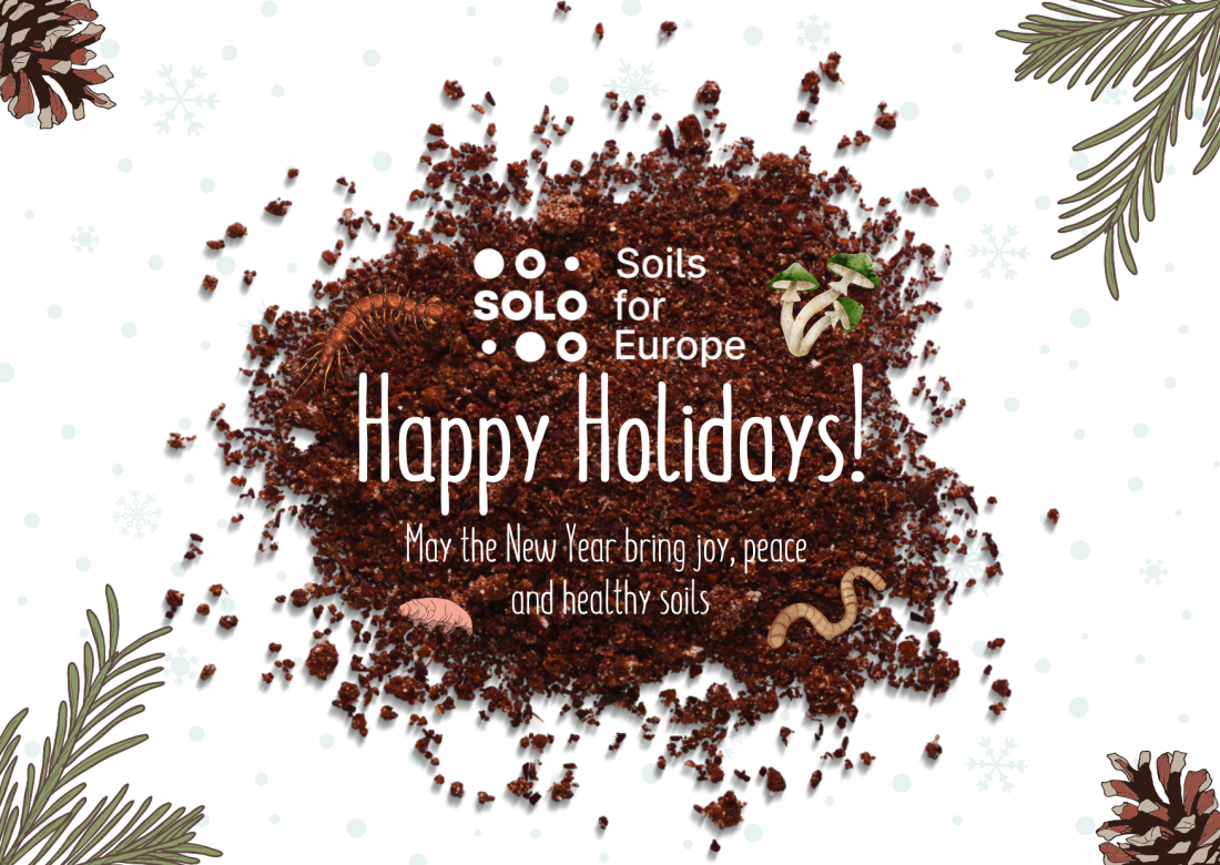 Happy Holidays!