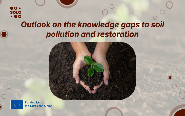 Outlook on the knowledge gaps to soil pollution and restoration