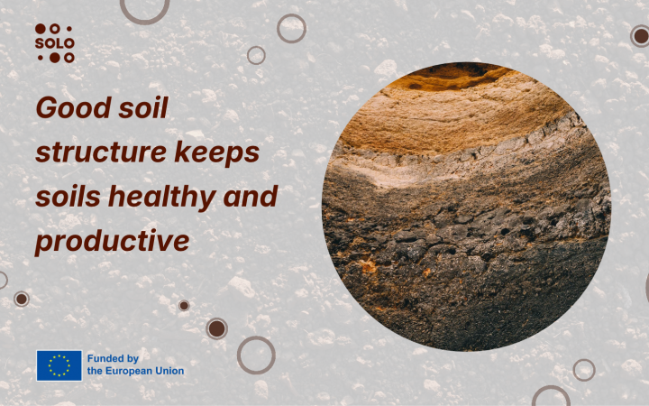 Think Tank (TT) webinar series: Recap of the Improve Soil Structure TT event