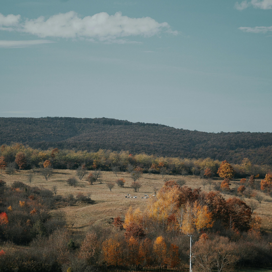 SOLO holds its first Regional Nodes workshop in Hungary