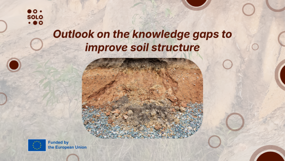 Outlook on the knowledge gaps to improve soil structure