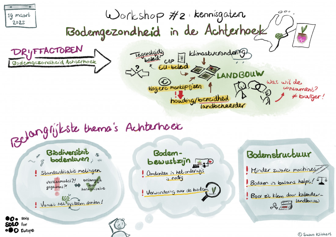 SOLO holds its second Regional Nodes workshop in the Netherlands