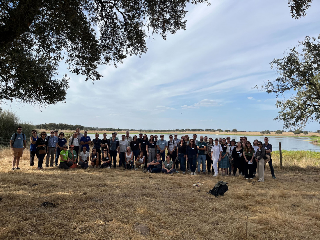 SOLO cross-fertilisation event in Évora, Portugal