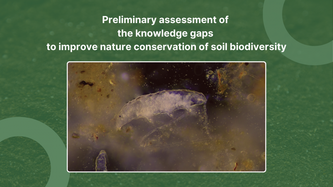 SOLO's roadmaps: Preliminary assessment of the knowledge gaps to improve nature conservation of soil biodiversity