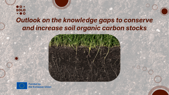 Outlook on the knowledge gaps to conserve and increase soil organic carbon stocks
