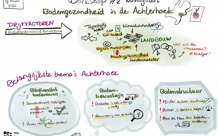 SOLO holds its second Regional Nodes workshop in the Netherlands