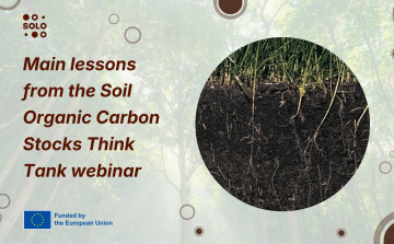 New Scientific Roadmap Outlines Strategy to Transform European Soils from Carbon Source to Resilient Sink