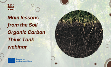 New Scientific Roadmap Outlines Strategy to Transform European Soils from Carbon Source to Resilient Sink