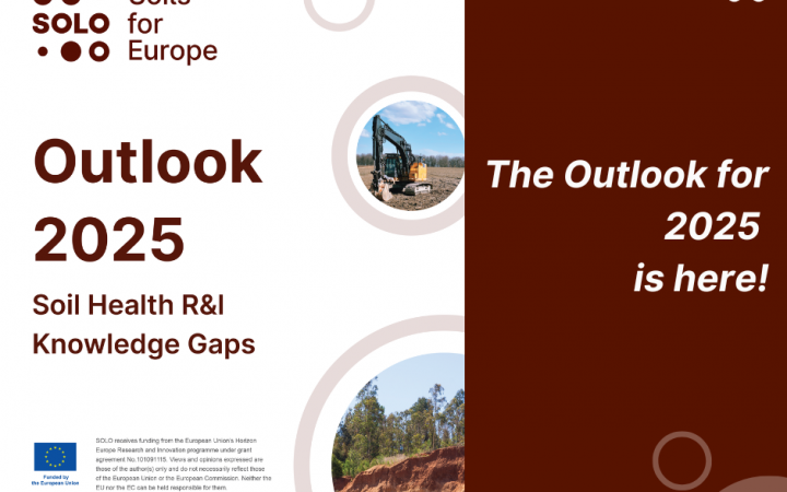 SOLO’s Outlook 2025 is here!