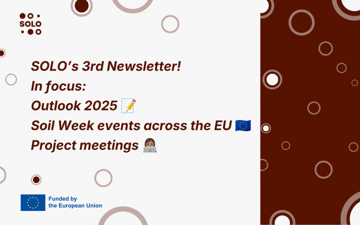 SOLO's third newsletter has arrived!