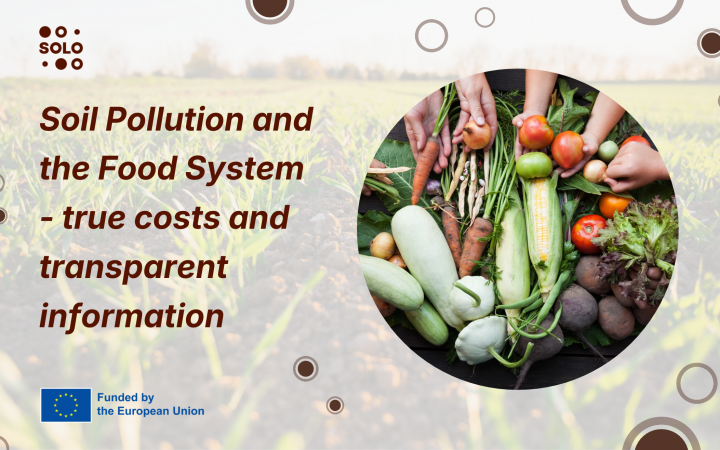 Think Tank webinar series: A look back at the Soil Pollution event