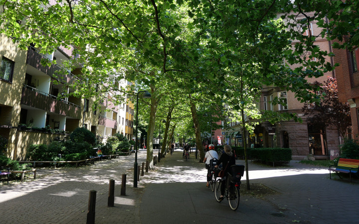 Soil Week 2024: Seminar discusses urban densification and ecosystem services
