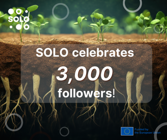 SOLO celebrates 3000 followers