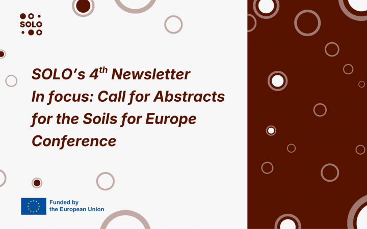 SOLO's fourth newsletter is here!
