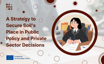 Elevating Soil in the Hierarchy of Values. The case of Portugal