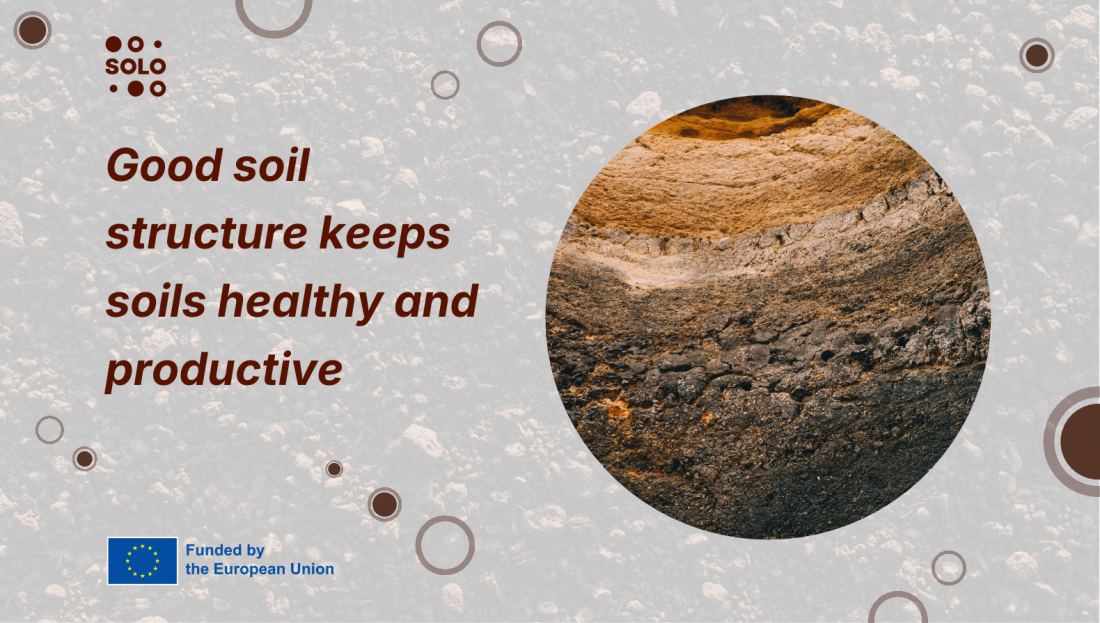 Think Tank (TT) webinar series: Recap of the Improve Soil Structure TT event