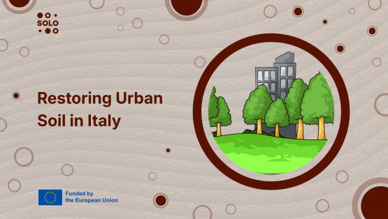 Desealing and Planning in Italy