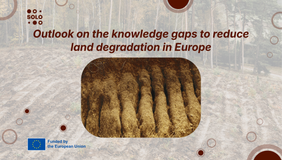 Outlook on the knowledge gaps to reduce land degradation in Europe