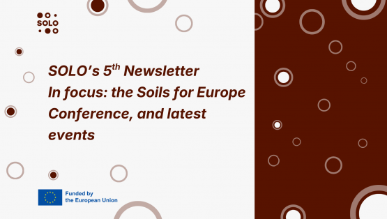 SOLO's fifth newsletter has arrived!