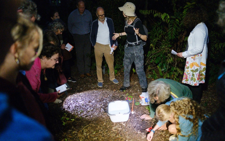 Soil Week 2024: Celebrating the 10th Anniversary of Soil Animal Days with SOLO and NIOO-KNAW