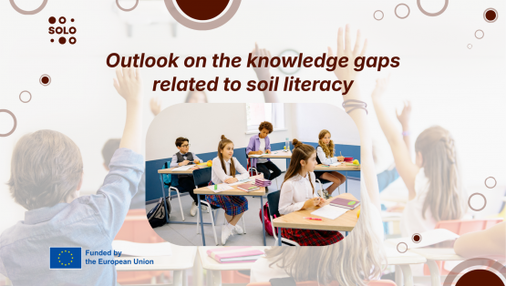 Outlook on the knowledge gaps related to soil literacy